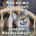 /album/fotogaleria/a46388-457538187616369-1611648592-n-jpg/